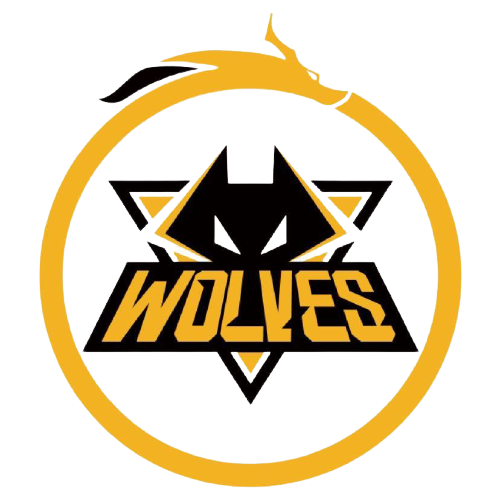 技术优势的 技术优势的